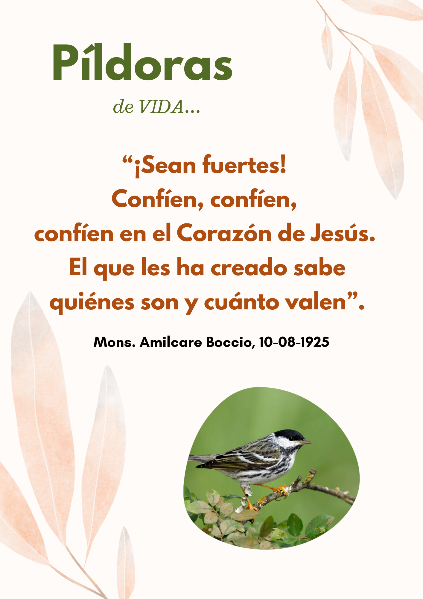 Peque�as Hijas del Sagrado Coraz�n de Jes�s